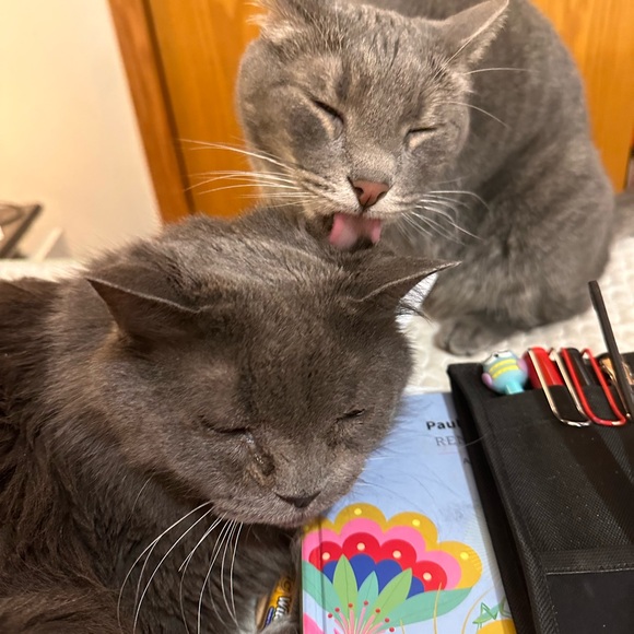 LIZA IS LIVE AND ON FIYAAAA!!! - Picture 9 of 10